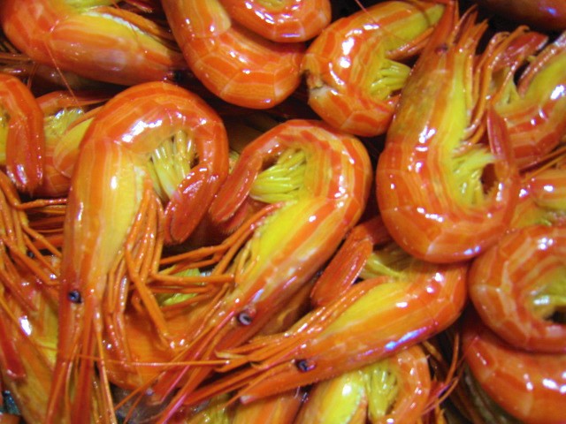 夏：北海しまえび特大500g | 野付漁協 直売店 海紋