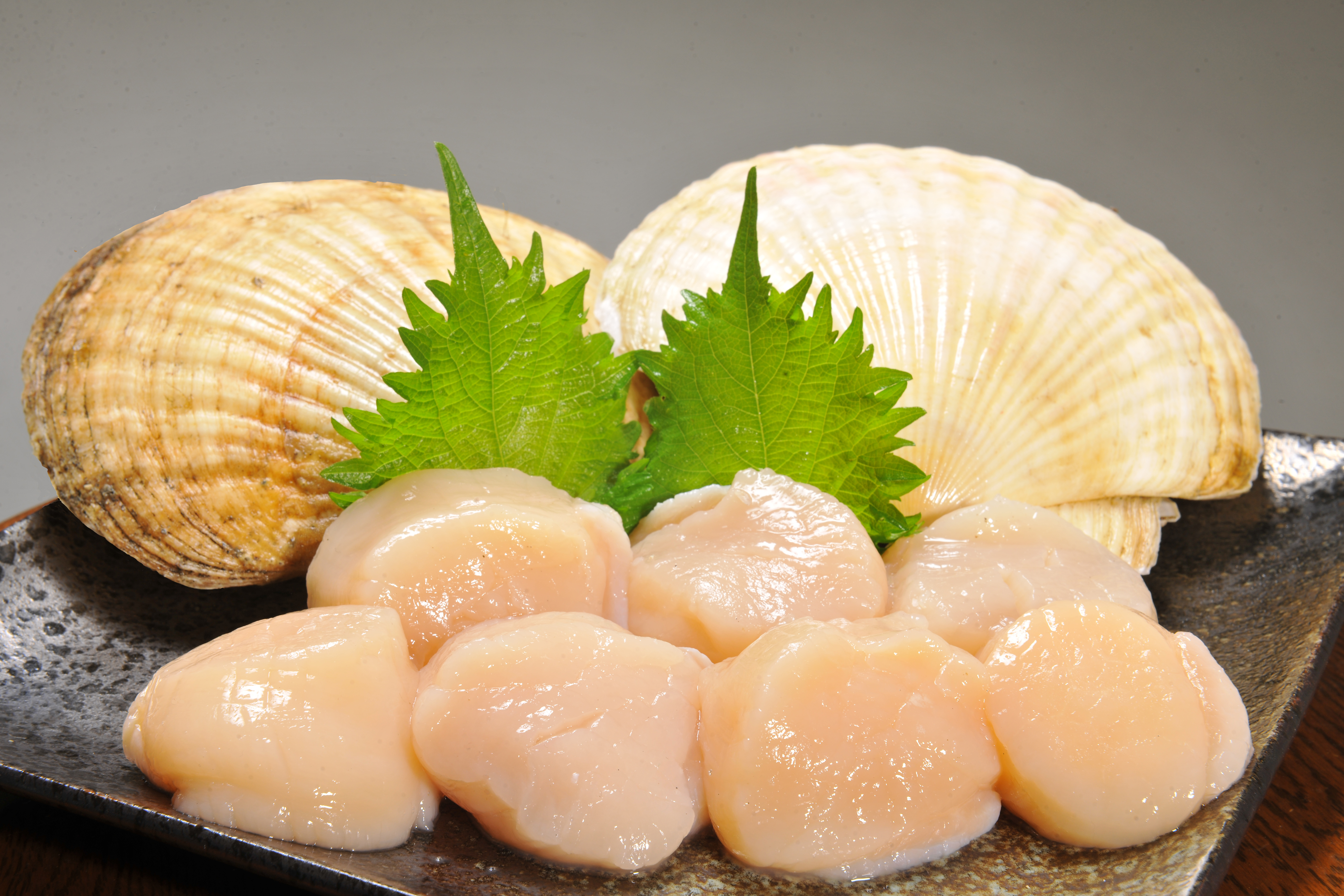 ほたて様VG×2 VG102×6｜遮熱塗料・断熱塗料