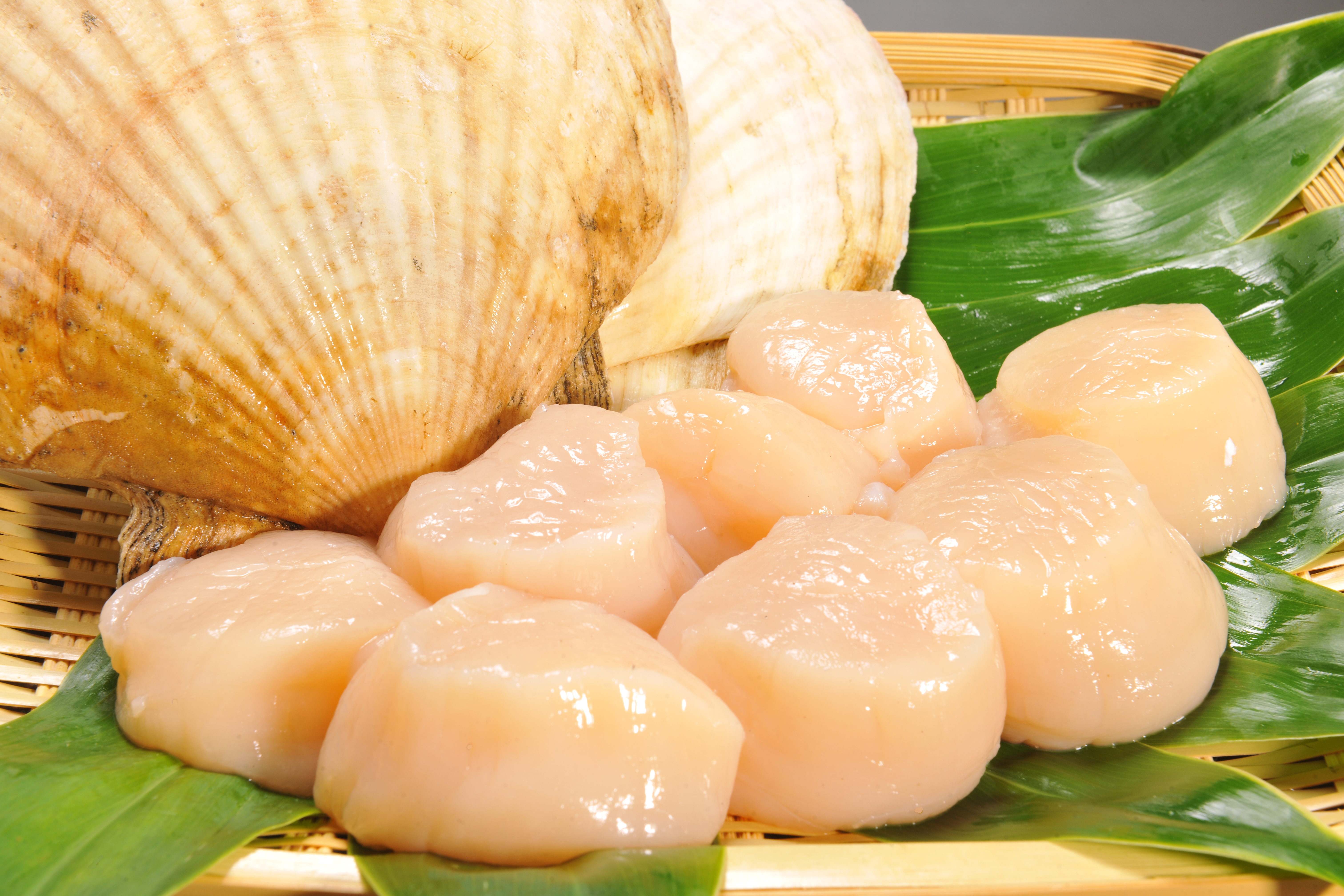 ほたて玉冷 J 1kg | 野付漁協 直売店 海紋 ほたて玉冷 J 1kg | 野付漁協 直売店 海紋