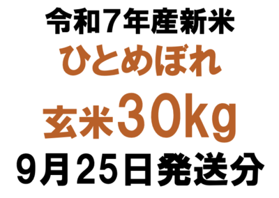 令和7年産新米玄米30kgひとめぼれ