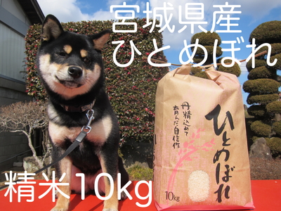 ★ひとめぼれ10kg精米 令和7年産新米