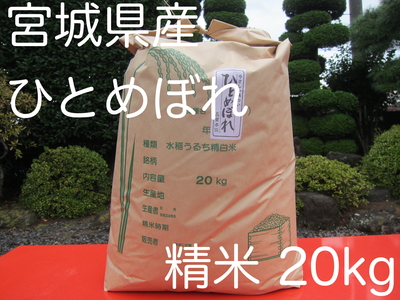 ★ひとめぼれ20kg精米 令和7年産新米