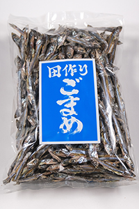 極上片口煮干 100g | 長谷金オンラインショップ