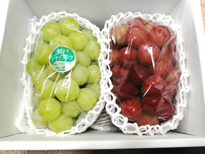 【後期】ぶどう詰合せ　２房入り