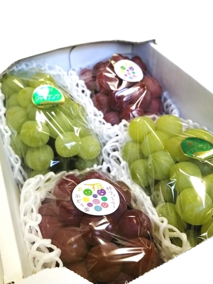 【後期】ぶどう詰合せ　2kg箱(３～５房入り)