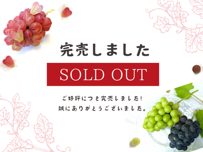 【中期】ピオーネ　２房入り