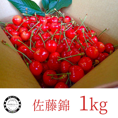 さくらんぼ : 佐藤錦 1kg