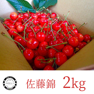 さくらんぼ : 佐藤錦 2kg