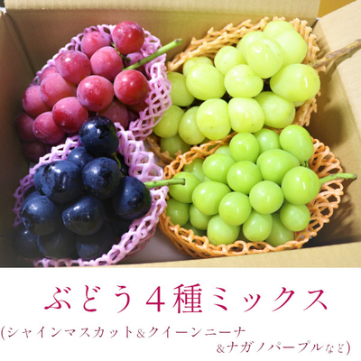 ぶどう 4種ミックス