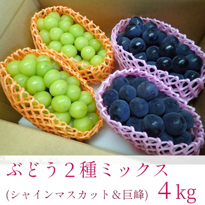 ぶどう 2種ミックス ( シャインマスカット & 種なし巨峰 ) × 2箱