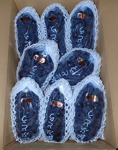 種無し巨峰（4kg/8～10房）の通販・お取り寄せ | やまざきファーム