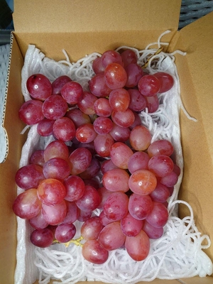 信州　クイーンルージュ®︎（4キロ） rouge4kg_1710059461613.jpg