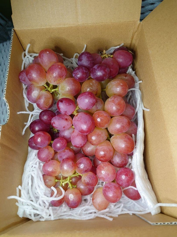 クイーンルージュ® 家庭用（1.2kg以上 / 3～4房）の通販・お取り寄せ