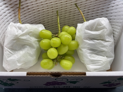 ＊シャインマスカット 家庭用(2kg /3～4房)＊