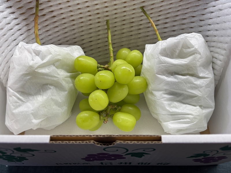 ＊シャインマスカット 家庭用(2kg /3～4房)＊