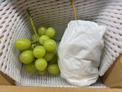 ＊シャインマスカット 家庭用(900g以上 /2房)＊