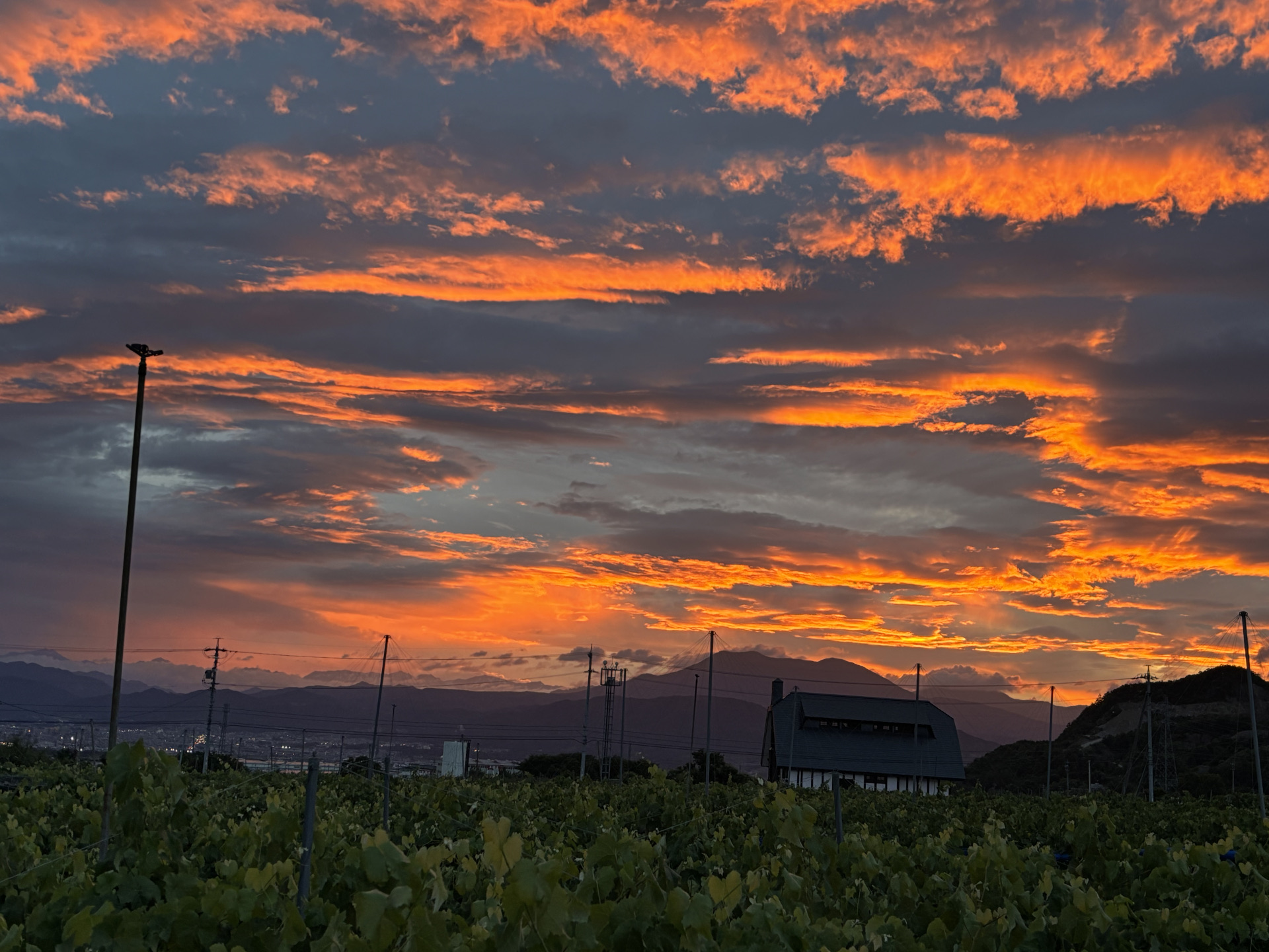 sunset