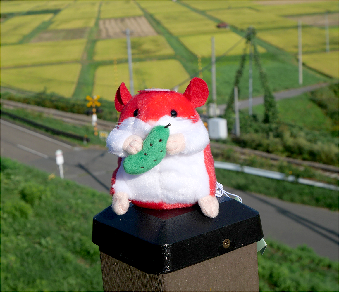 はむかっぱ 緑 | 道の駅 遠野 風の丘 オンラインショップ