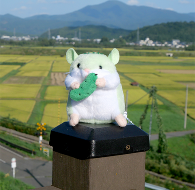 はむかっぱ　緑