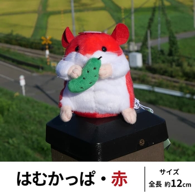 はむかっぱ　赤