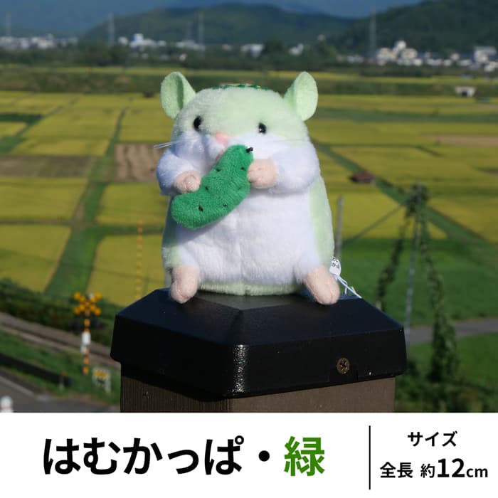 ハムかっぱ はむかっぱ 緑 | 道の駅 遠野 風の丘 オンラインショップ