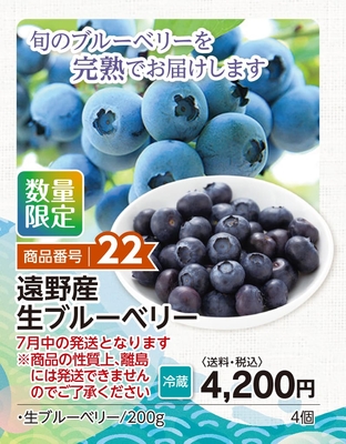 商品番号22　生ブルーベリー