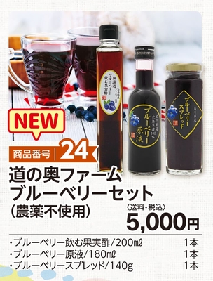 商品番号24　道の奥ファーム  ブルーベリーセット【送料込】
