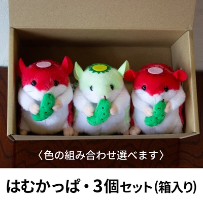 はむかっぱ　3個セット（箱入り）【送料込】