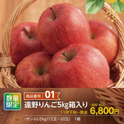 商品番号01　遠野りんご5㎏箱入り　【送料込】