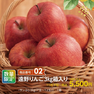 商品番号02　遠野りんご3㎏箱入り　【送料込】