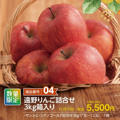 商品番号04　遠野りんご詰合せ3㎏箱入り　【送料込】
