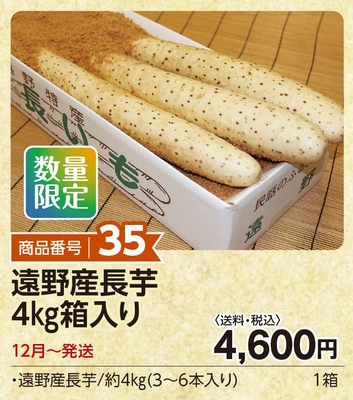 商品番号35　遠野産長芋4㎏箱入り　【送料込】長芋