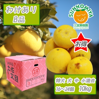 土佐文旦訳ありB品　10kg