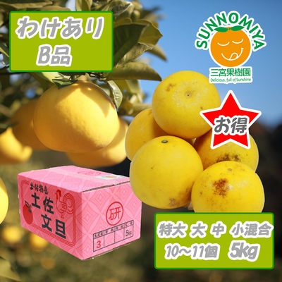 土佐文旦訳ありB品　5kg