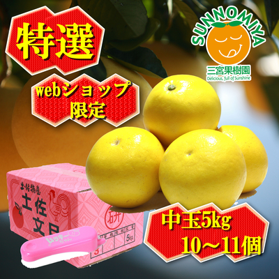 土佐文旦特選中玉5kg　ムッキーちゃん付き