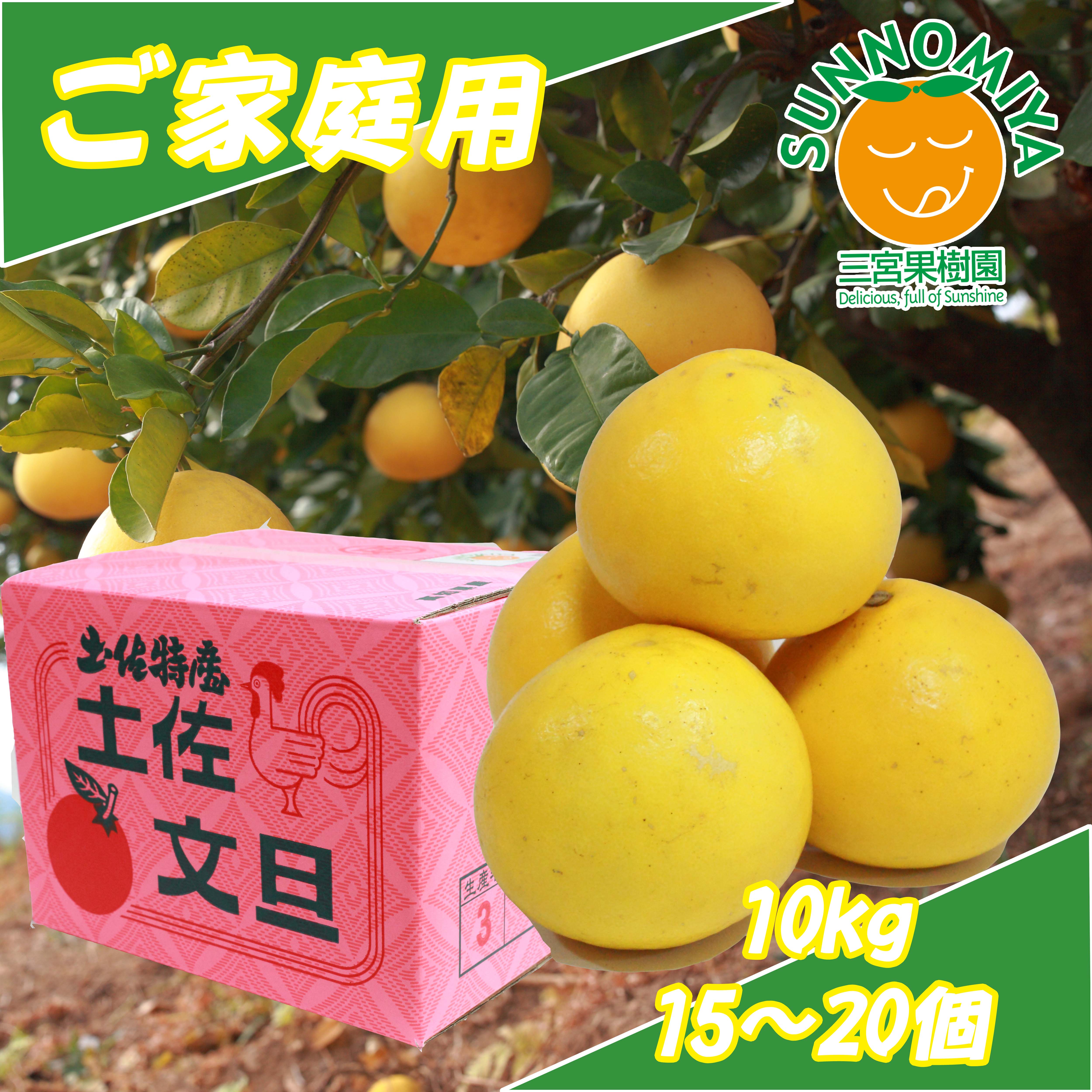 土佐文旦ご家庭用10kg 15個～20個 | 三宮果樹園