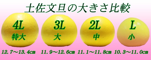 三宮果樹園オンラインストア