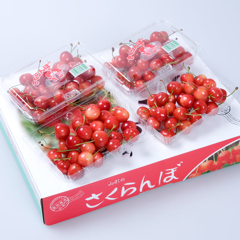 佐藤錦フードパック 秀品約180g×4P（Lサイズ以上） | くだものえき