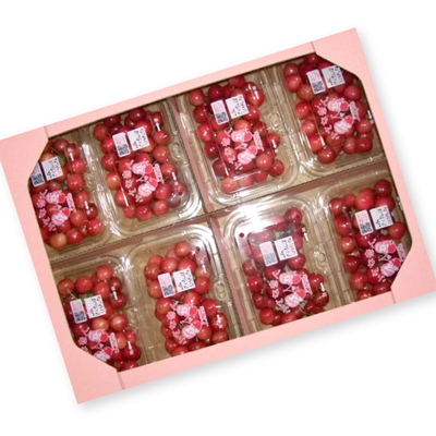 佐藤錦フードパック200g&times;8P(秀L)	