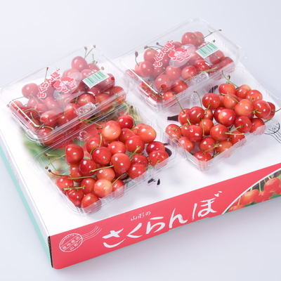 紅秀峰フードパック4P入