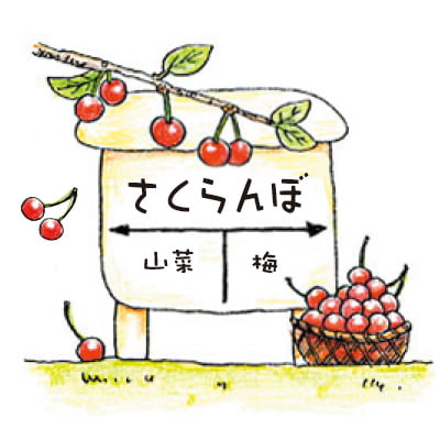 さくらんぼ