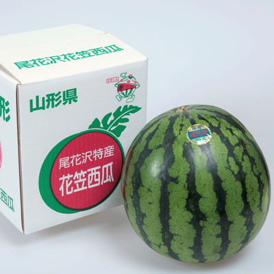尾花沢西瓜1玉