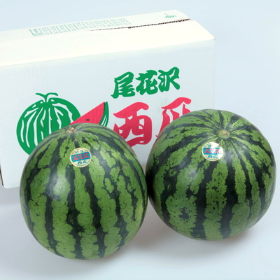 尾花沢西瓜2玉
