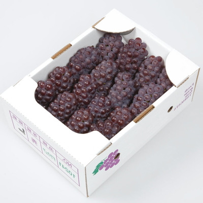 ハウスデラウェア 約2kg（16房前後）