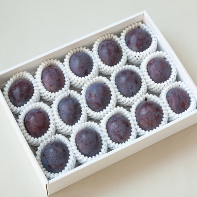 大玉プルーン 約1.5kg