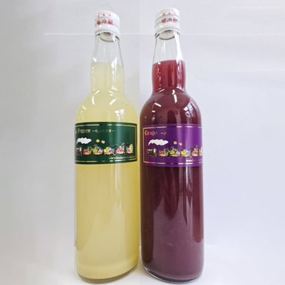 100%ジュース2本入り