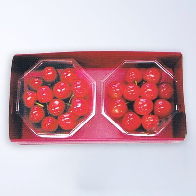 ハウス佐藤錦ダイヤパック詰め 秀品約100g&times;2P（Lサイズ以上）