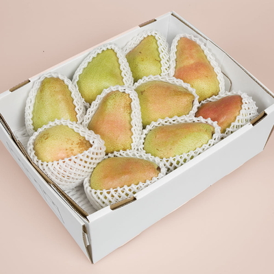 マルゲリット・マリーラ 約5kg（4L・3L）