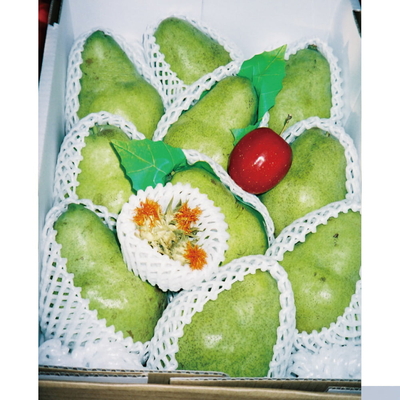 バラード 約5kg（4L・3L）