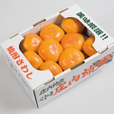 種なし庄内柿  約3kg 15玉前後